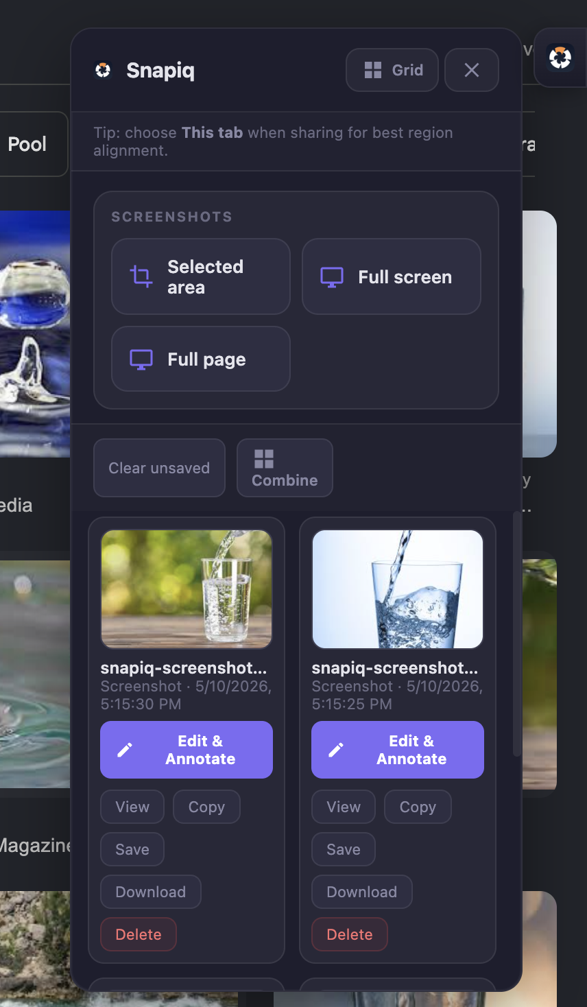 Snapiq popup with Selected area, Full screen, and Full page buttons